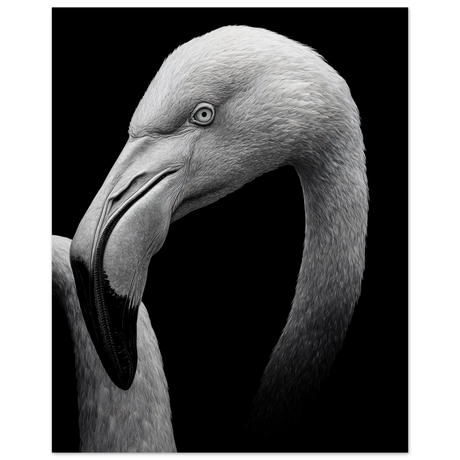 #70 x 100 cm