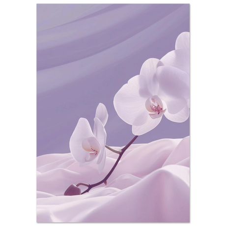 #70 x 100 cm