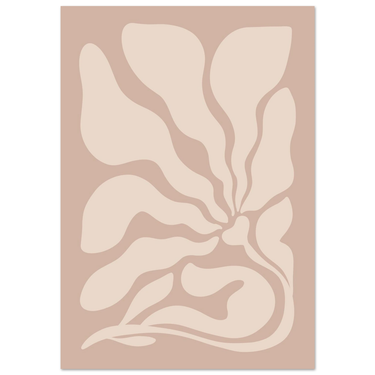 #70 x 100 cm