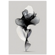 #21 x 29.7 cm