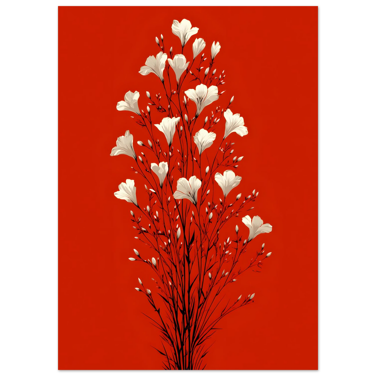 #70 x 100 cm