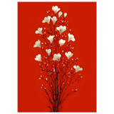 #70 x 100 cm