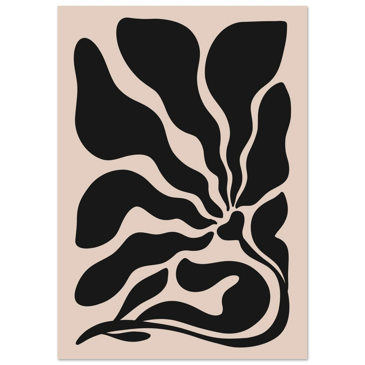 #21 x 29.7 cm