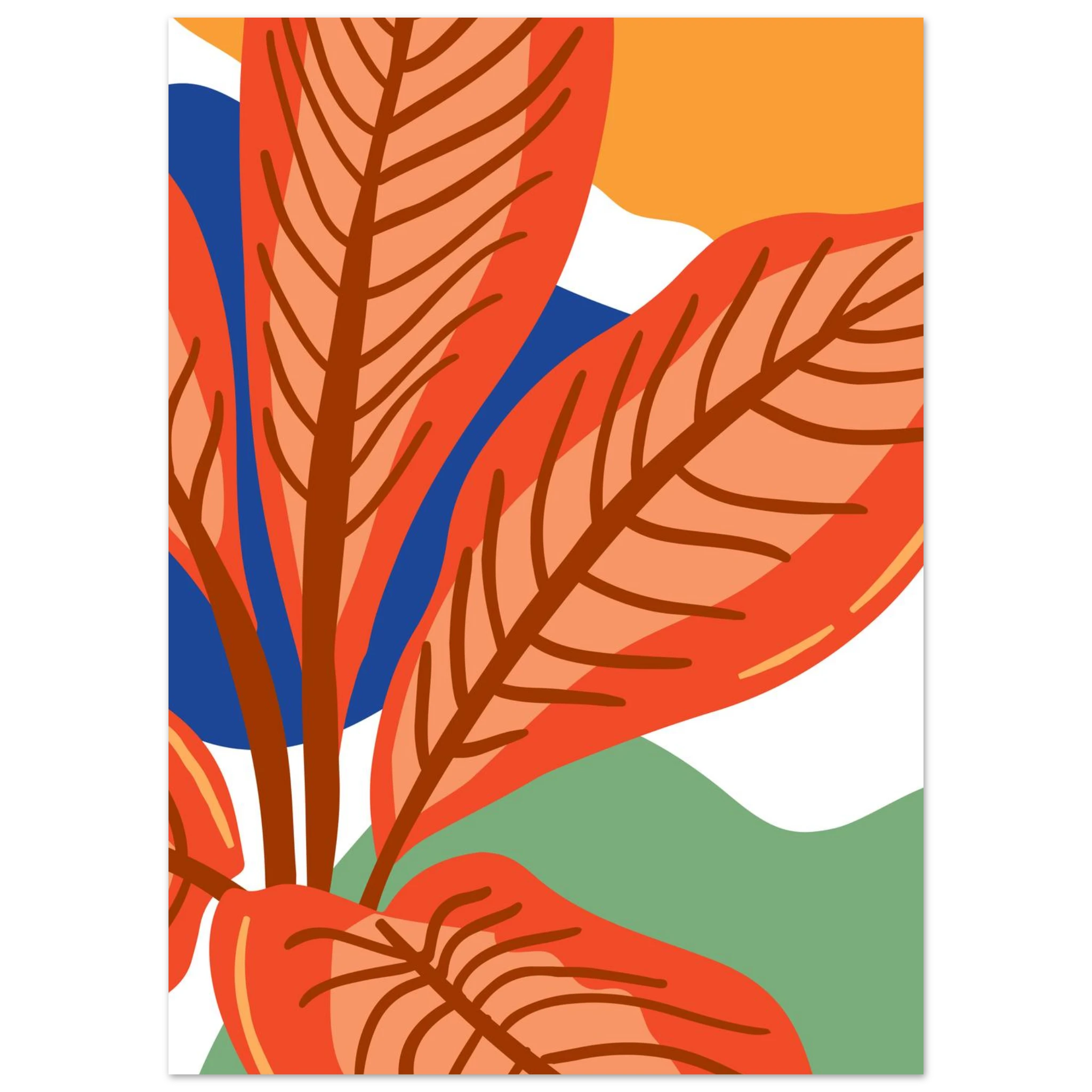 #50 x 70 cm