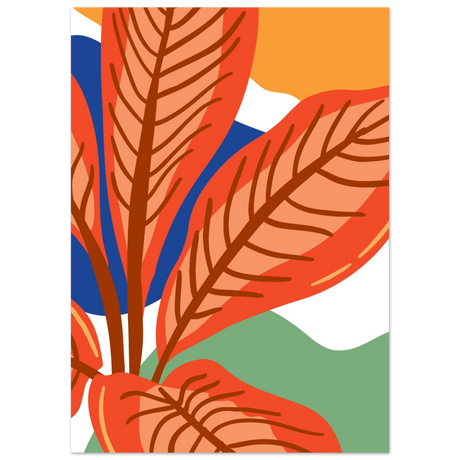 #50 x 70 cm