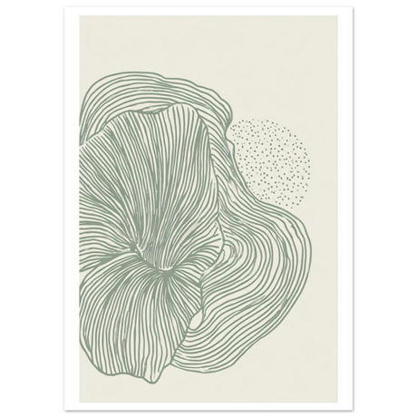 #50 x 70 cm