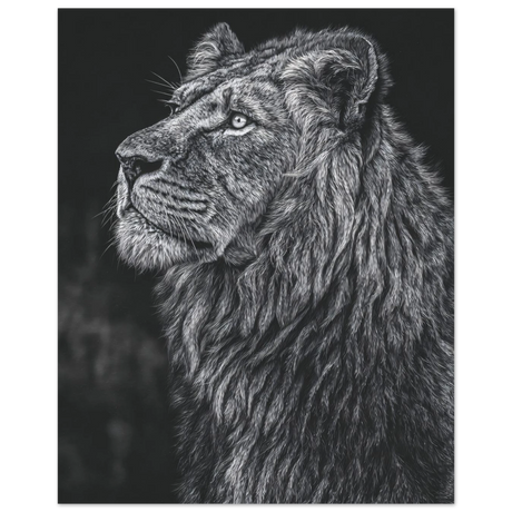 #40 x 50 cm