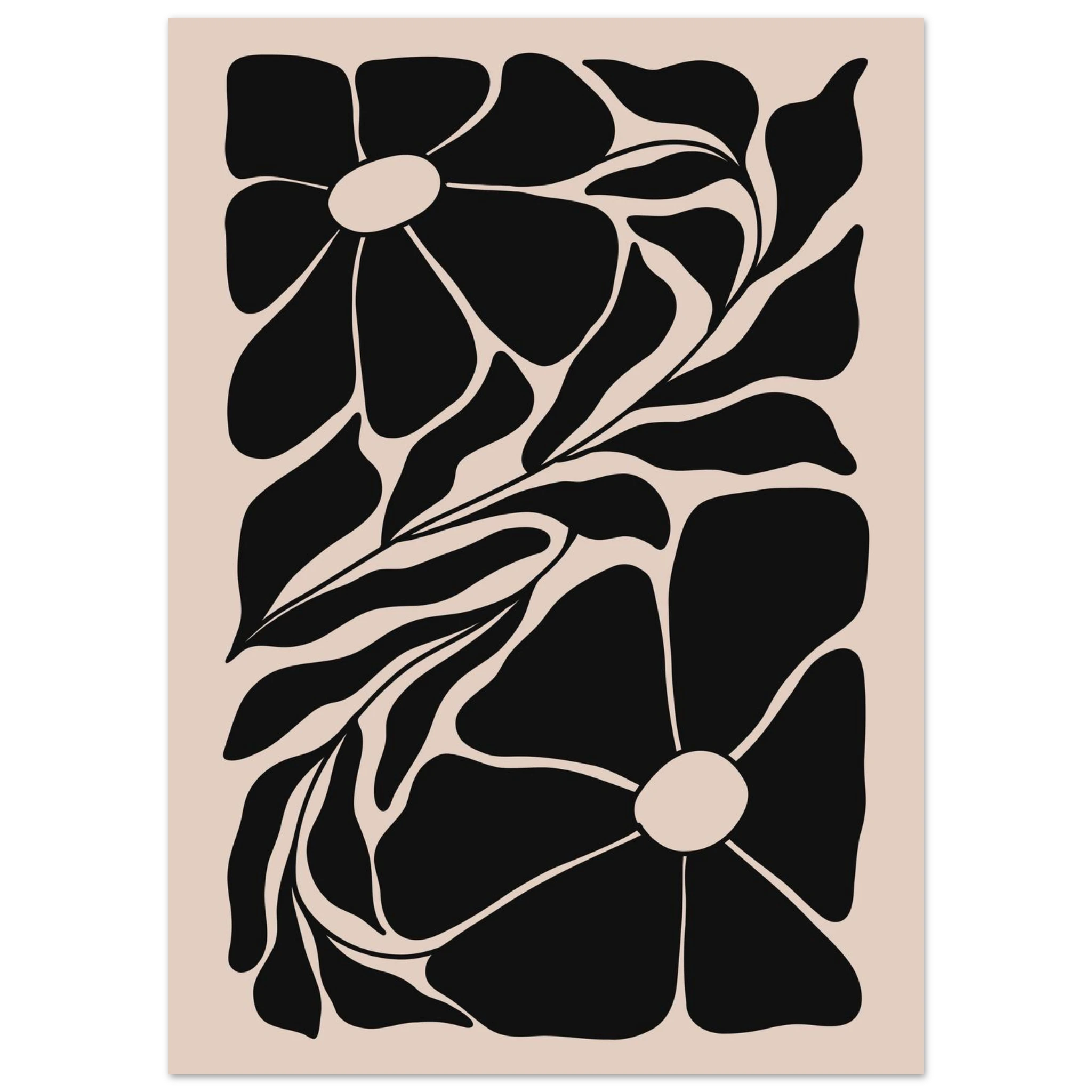 #50 x 70 cm