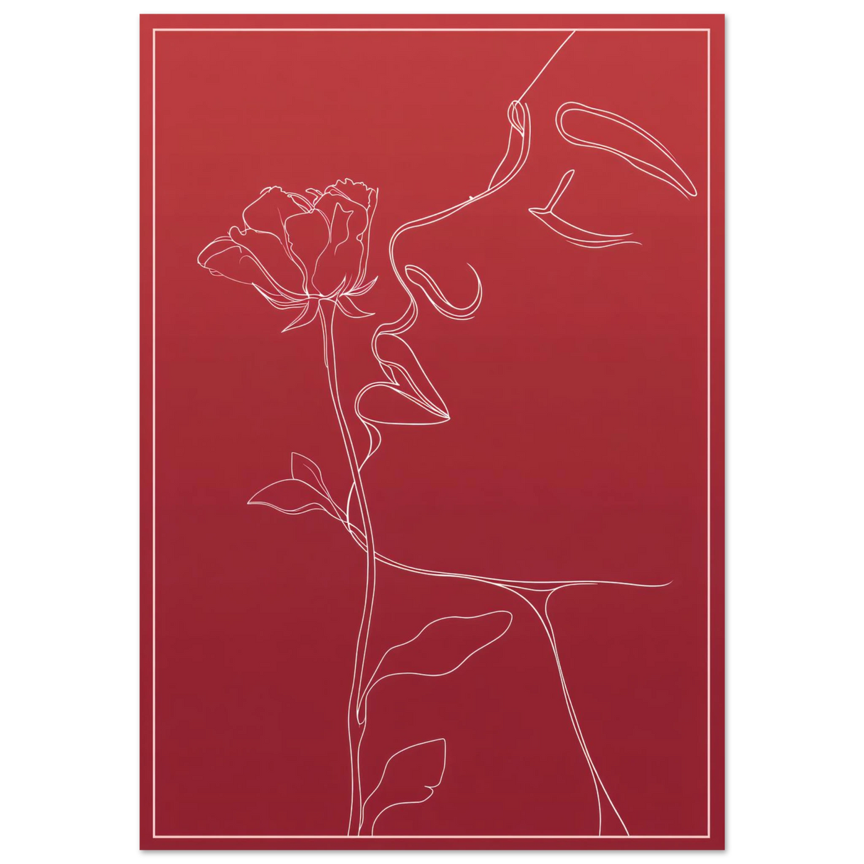 #70 x 100 cm
