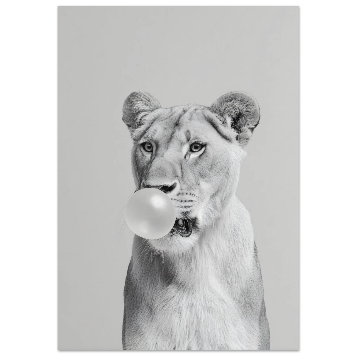 #50 x 70 cm