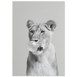 #50 x 70 cm