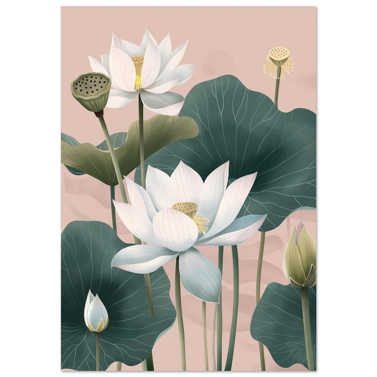 #70 x 100 cm