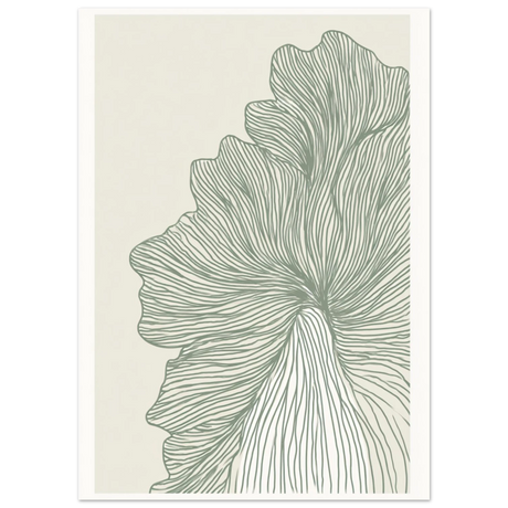 #50 x 70 cm