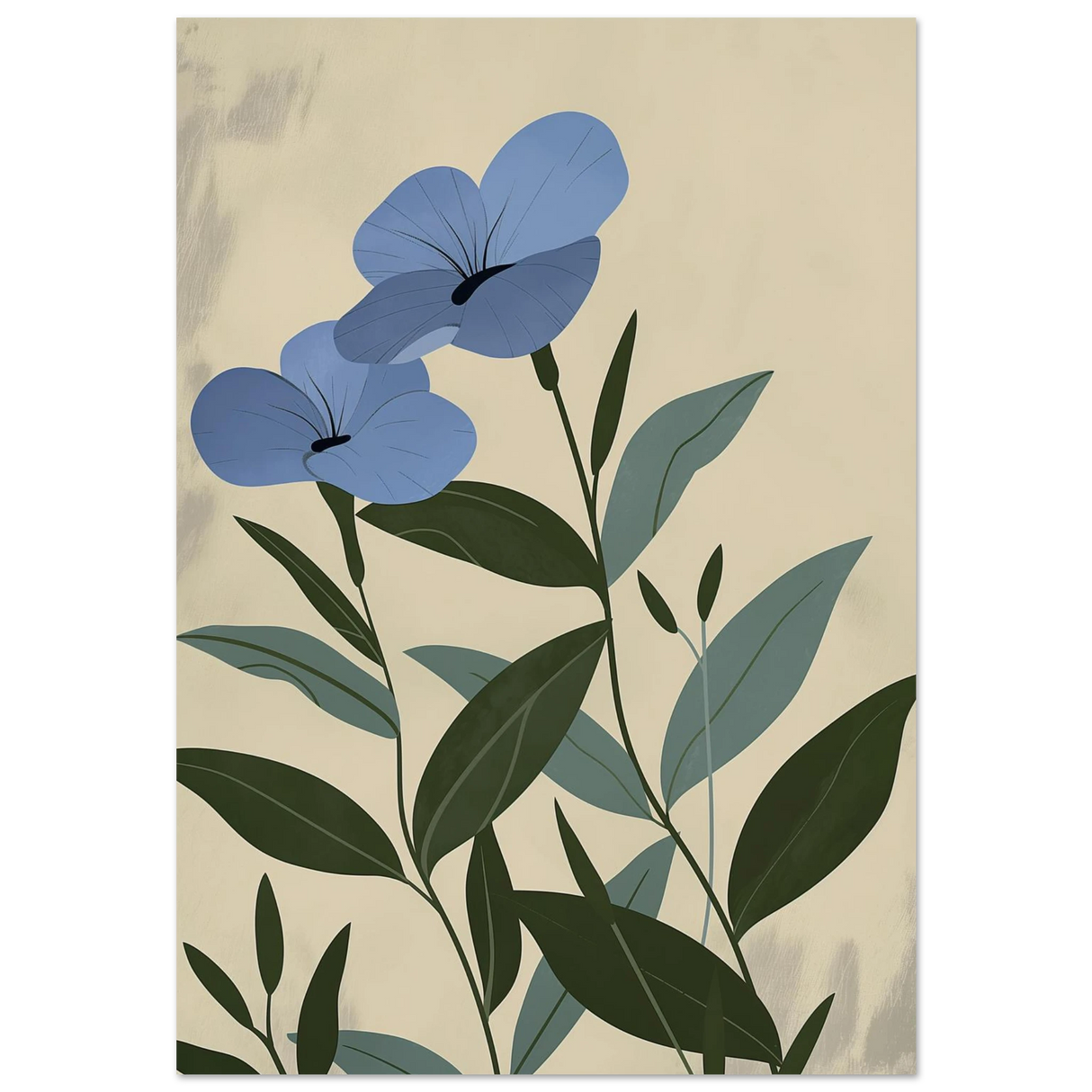 #70 x 100 cm