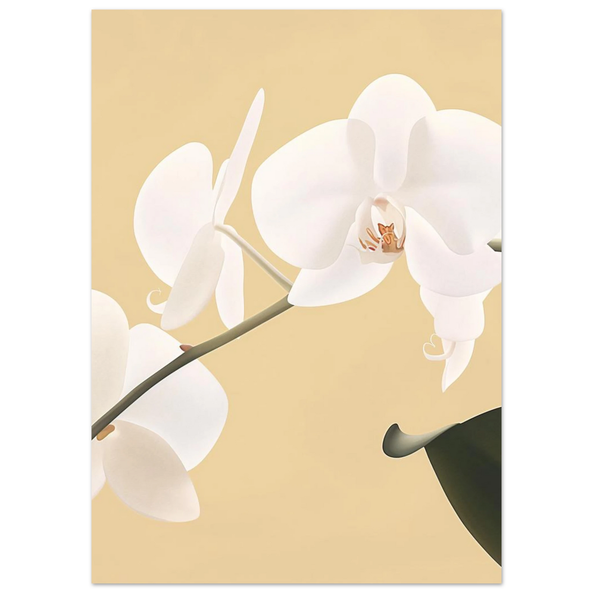 #50 x 70 cm