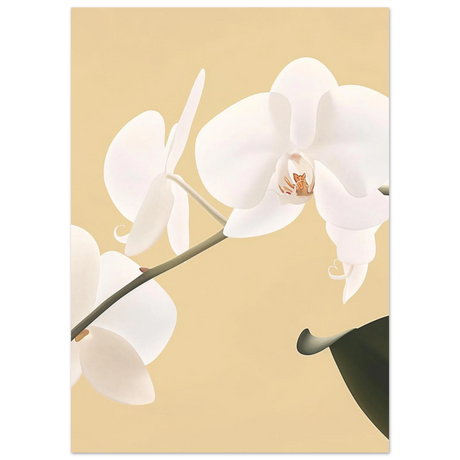 #50 x 70 cm