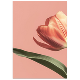 #70 x 100 cm