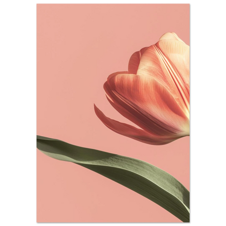 #70 x 100 cm