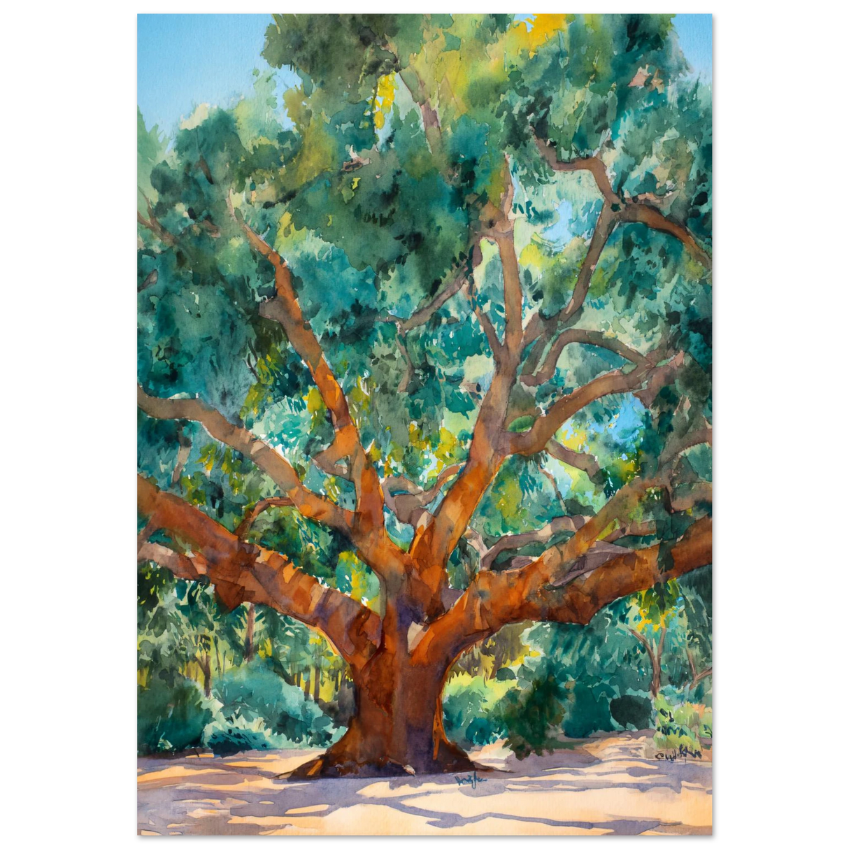 #70 x 100 cm