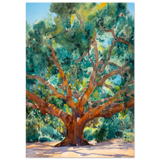 #70 x 100 cm