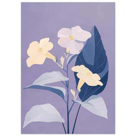 #50 x 70 cm