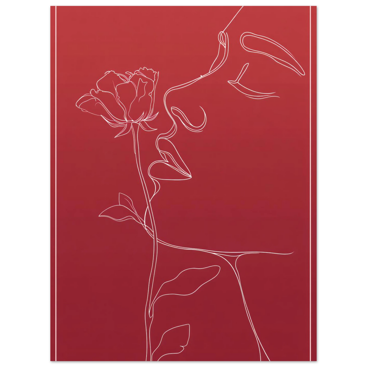 #30 x 40 cm