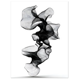 #50 x 70 cm