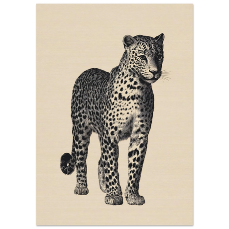 #21 x 29.7 cm