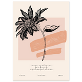 #21 x 29.7 cm