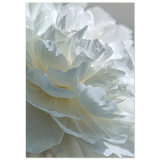 #70 x 100 cm