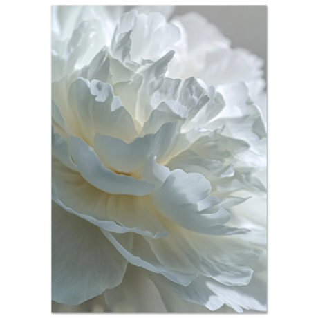 #70 x 100 cm
