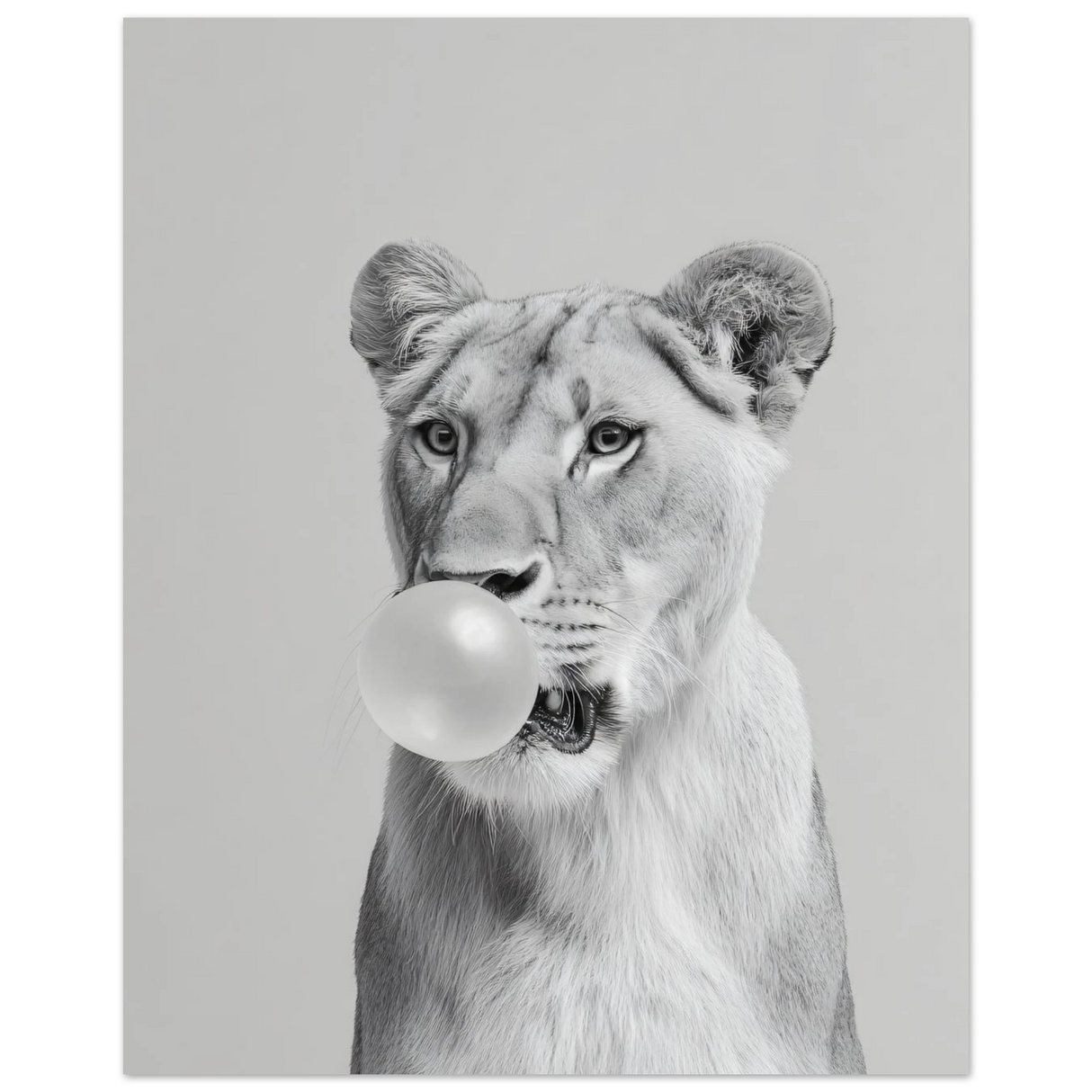 #70 x 100 cm