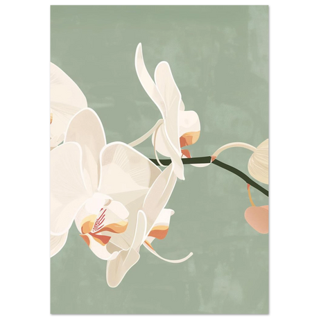 #21 x 29.7 cm