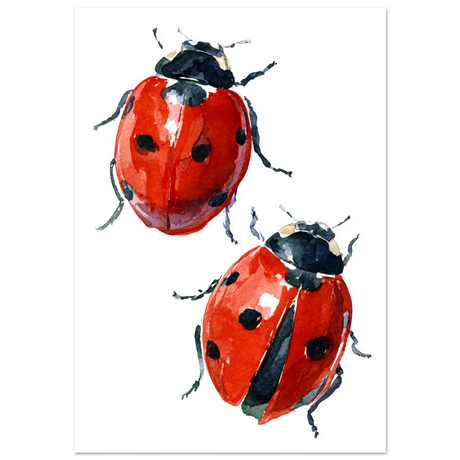 #70 x 100 cm