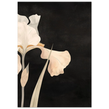 #70 x 100 cm