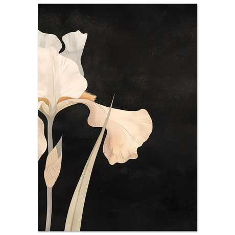 #70 x 100 cm