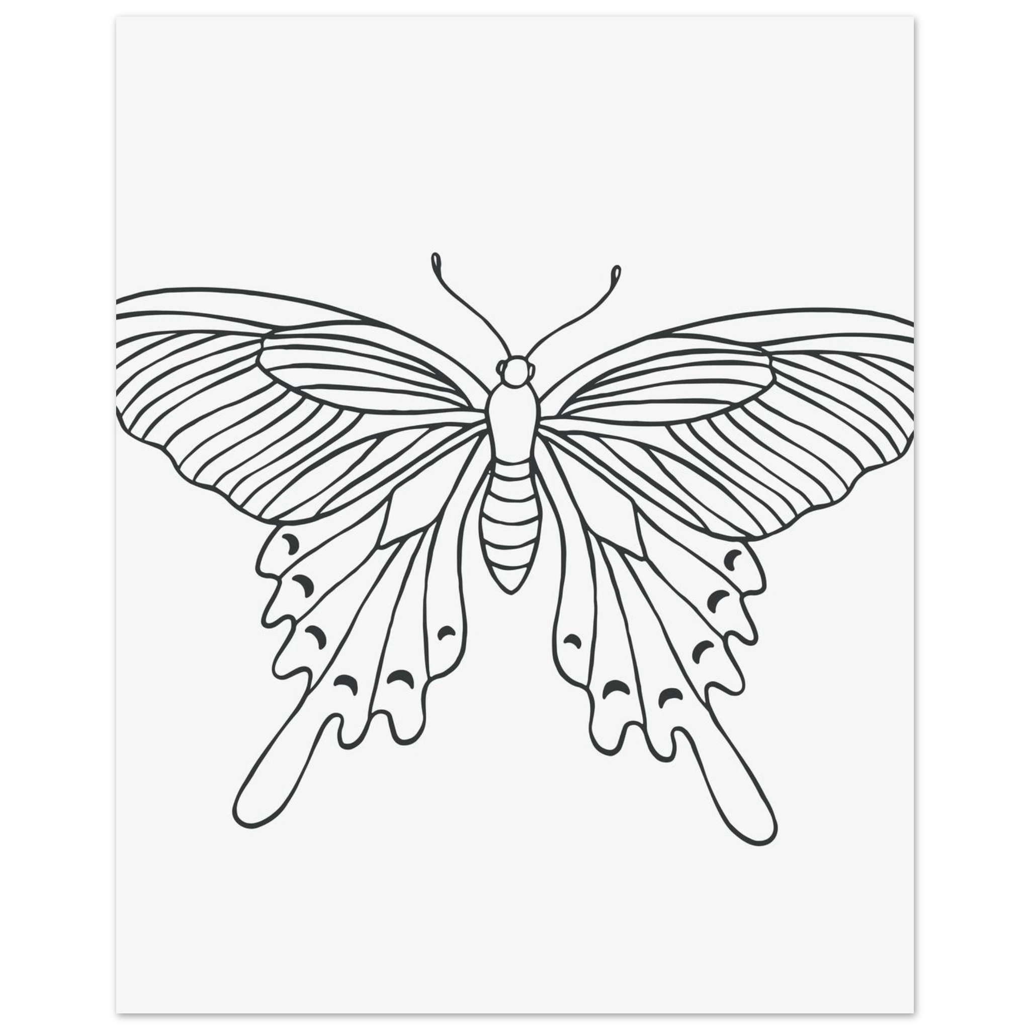 #30 x 40 cm