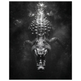 #70 x 100 cm