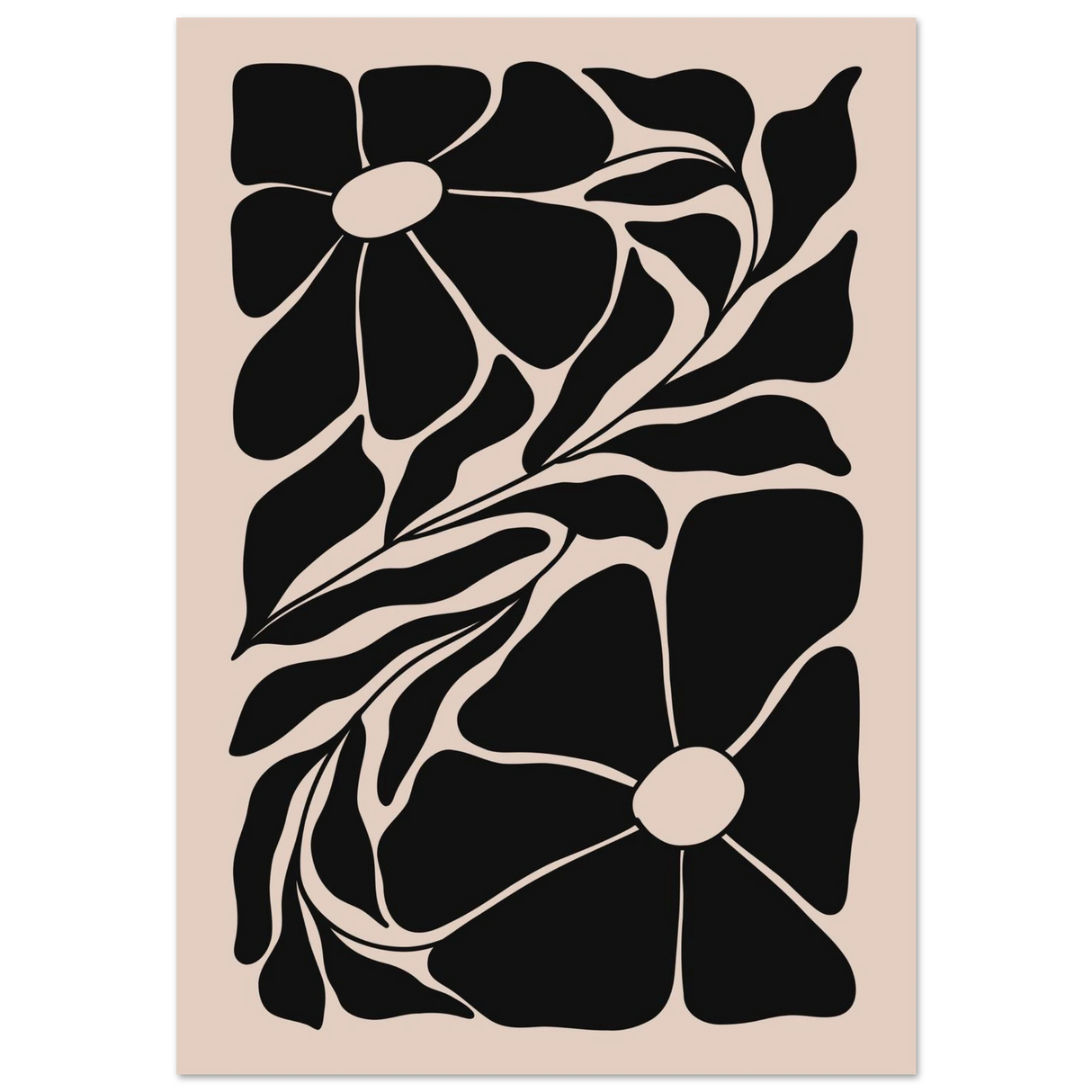 #70 x 100 cm
