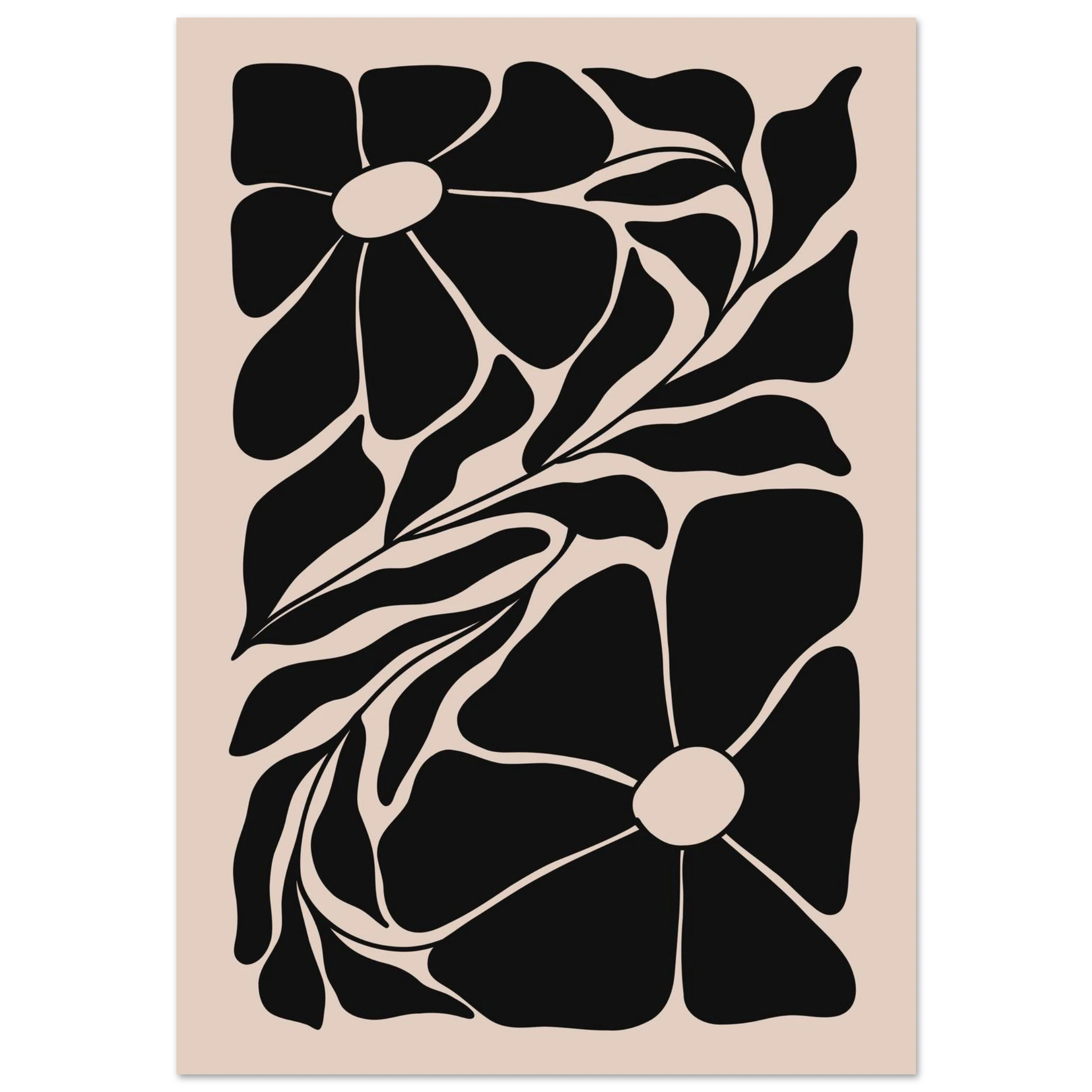 #70 x 100 cm