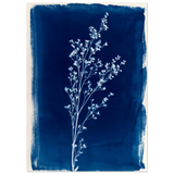 #50 x 70 cm