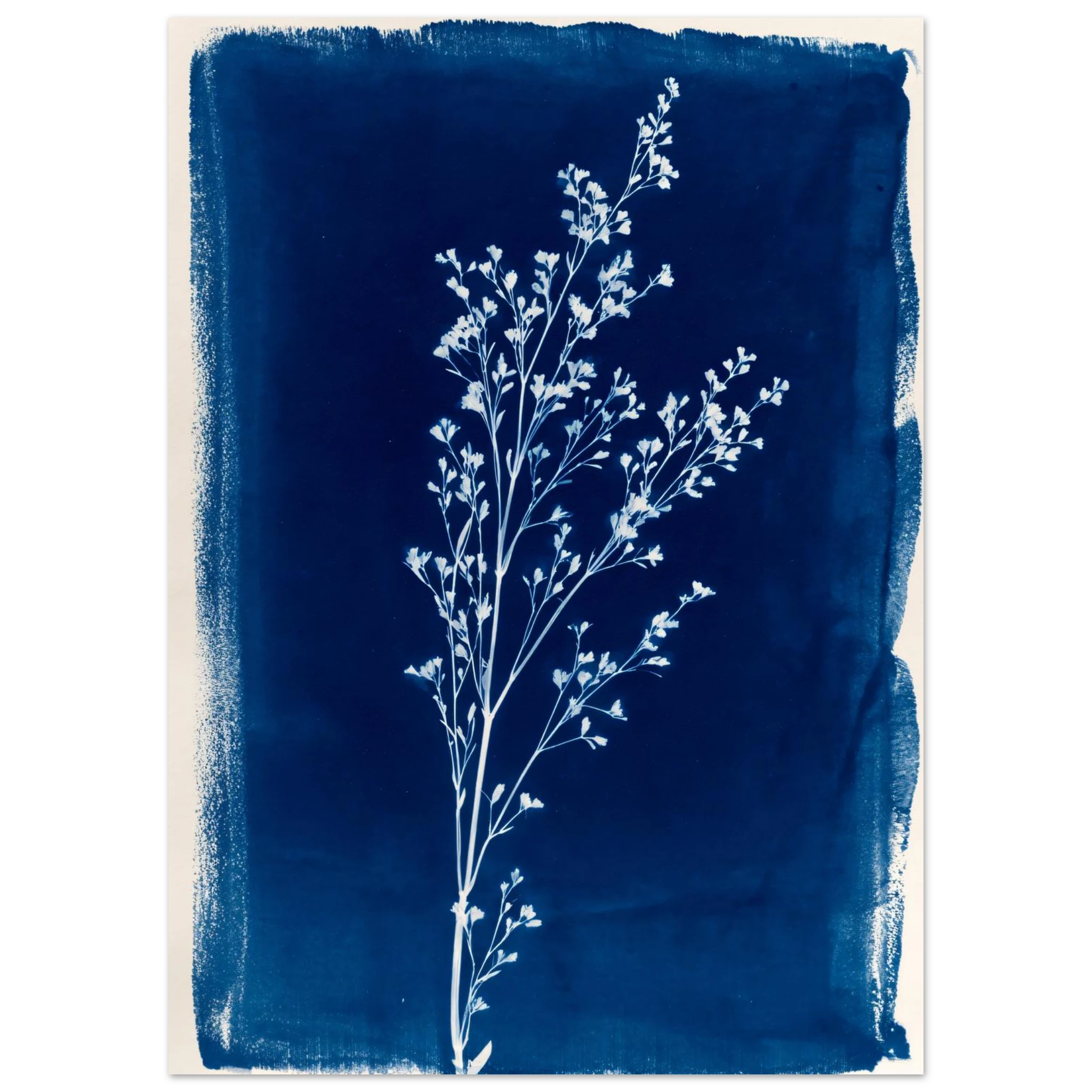 #50 x 70 cm