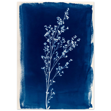 #50 x 70 cm