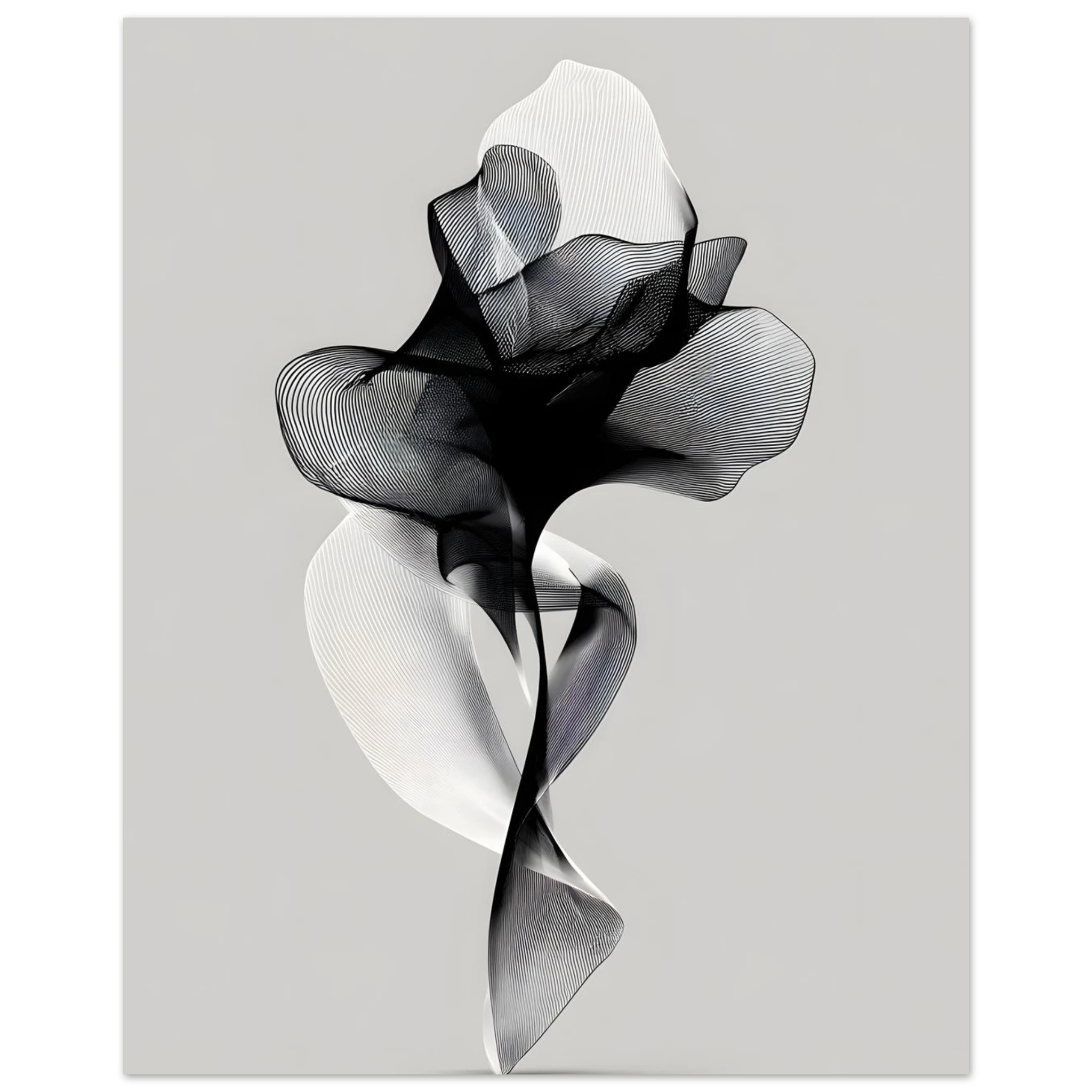 #30 x 40 cm