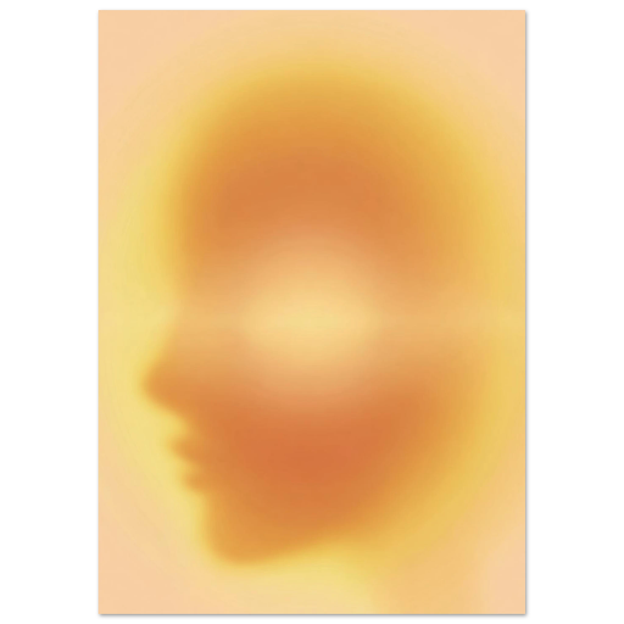 #21 x 29.7 cm