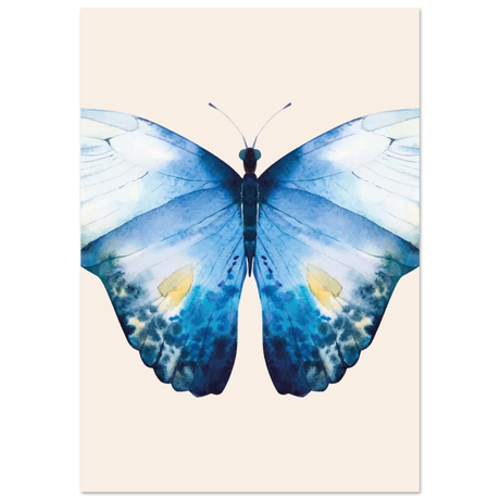 #70 x 100 cm