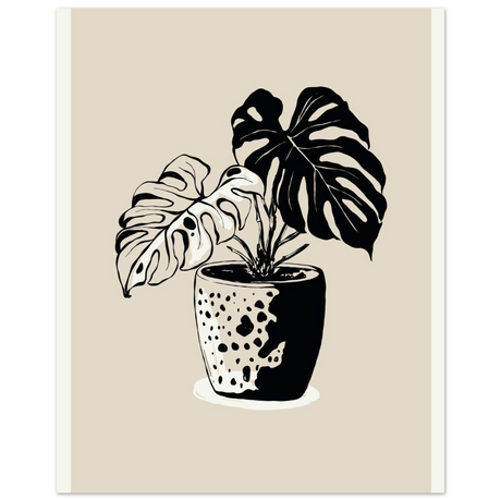 #40 x 50 cm