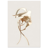 #40 x 50 cm