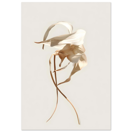 #40 x 50 cm