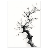 #70 x 100 cm